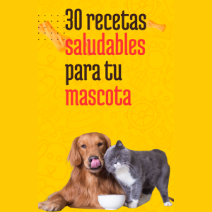 30 Recetas saludables para tu mascota